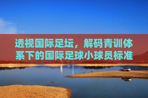 透视国际足坛,解码青训体系下的国际足球小球员标准