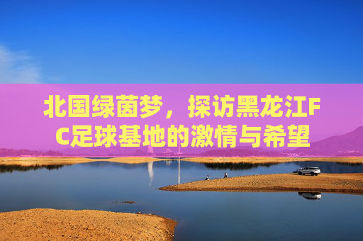 北国绿茵梦,探访黑龙江FC足球基地的激情与希望