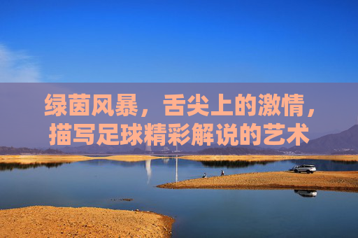 绿茵风暴,舌尖上的激情,描写足球精彩解说的艺术