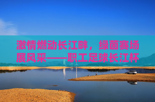 激情燃动长江畔,绿茵赛场展风采——职工足球长江杯联赛侧记