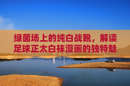 绿茵场上的纯白战靴,解读足球正太白袜漫画的独特魅力