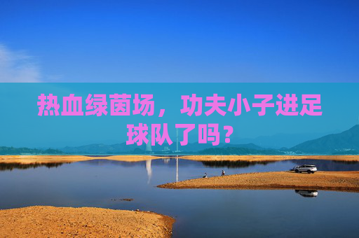 热血绿茵场,功夫小子进足球队了吗?