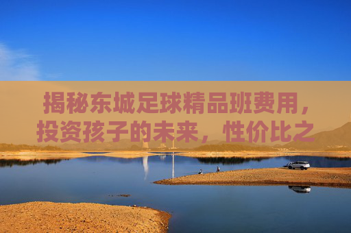 揭秘东城足球精品班费用,投资孩子的未来,性价比之选!