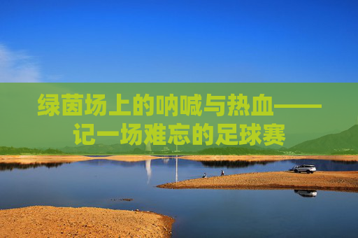 绿茵场上的呐喊与热血——记一场难忘的足球赛