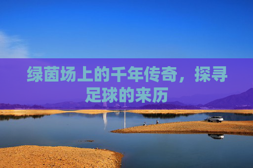 绿茵场上的千年传奇,探寻足球的来历