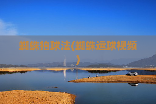 蜘蛛拍球法(蜘蛛运球视频)