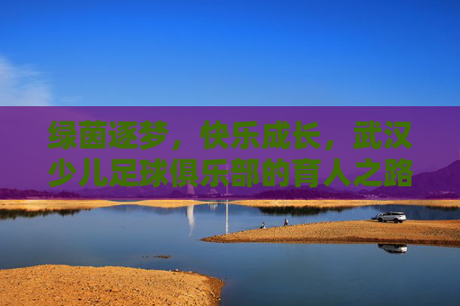 绿茵逐梦,快乐成长,武汉少儿足球俱乐部的育人之路