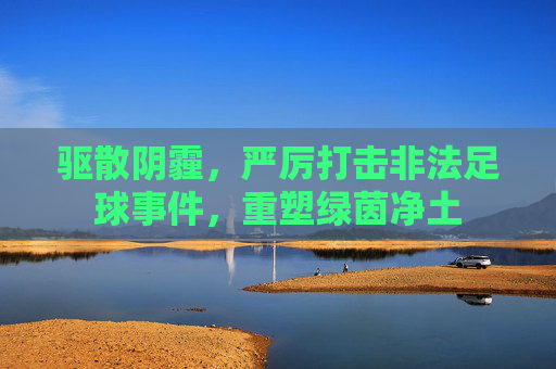 驱散阴霾,严厉打击非法足球事件,重塑绿茵净土