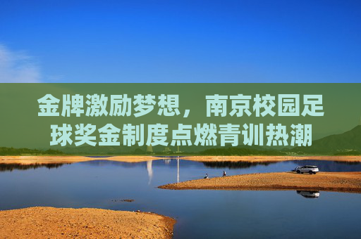 金牌激励梦想,南京校园足球奖金制度点燃青训热潮