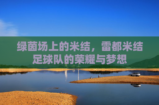 绿茵场上的米结,雷都米结足球队的荣耀与梦想