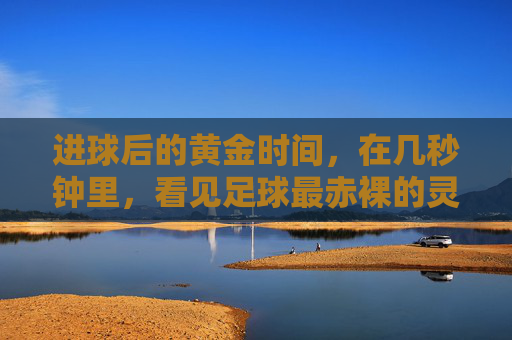 进球后的黄金时间,在几秒钟里,看见足球最赤裸的灵魂
