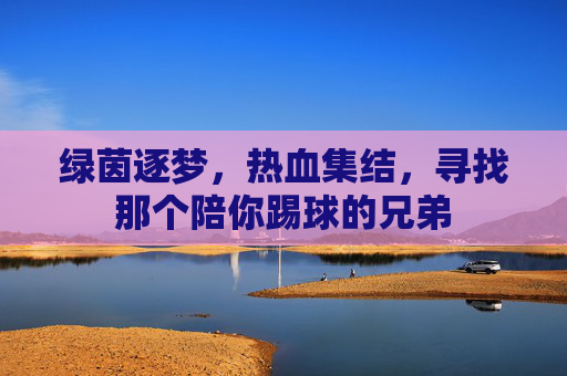 绿茵逐梦,热血集结,寻找那个陪你踢球的兄弟
