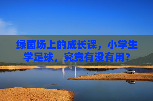 绿茵场上的成长课,小学生学足球,究竟有没有用?