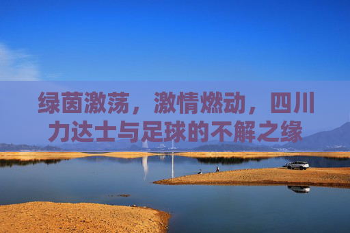 绿茵激荡,激情燃动,四川力达士与足球的不解之缘