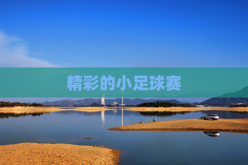 精彩的小足球赛