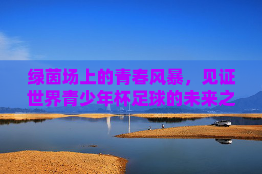 绿茵场上的青春风暴,见证世界青少年杯足球的未来之星