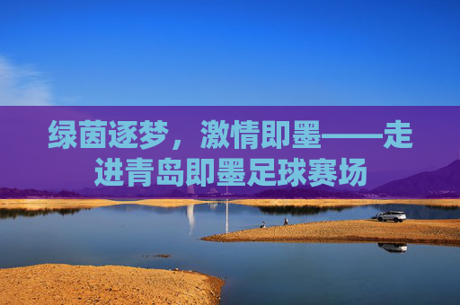 绿茵逐梦,激情即墨——走进青岛即墨足球赛场