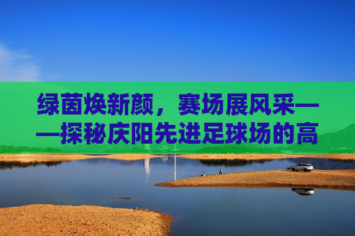 绿茵焕新颜,赛场展风采——探秘庆阳先进足球场的高品质草坪