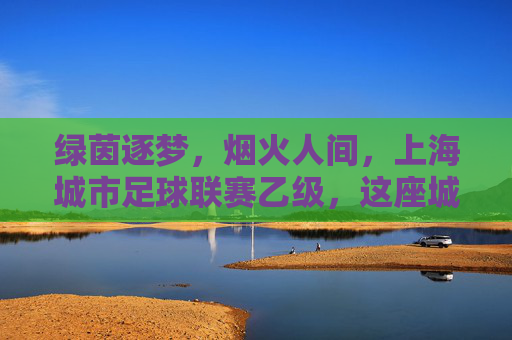 绿茵逐梦,烟火人间,上海城市足球联赛乙级,这座城市的草根足球盛宴
