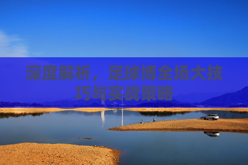 深度解析,足球博全场大技巧与实战策略