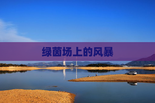 绿茵场上的风暴