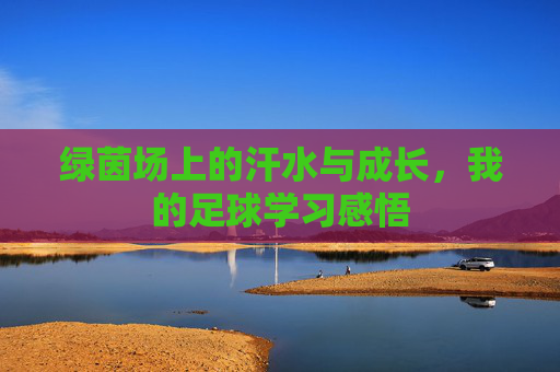 绿茵场上的汗水与成长,我的足球学习感悟