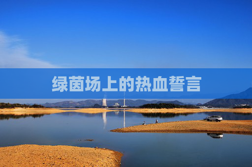 绿茵场上的热血誓言