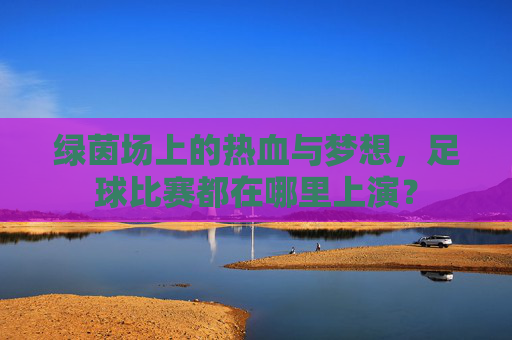 绿茵场上的热血与梦想,足球比赛都在哪里上演?