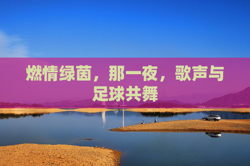 燃情绿茵,那一夜,歌声与足球共舞