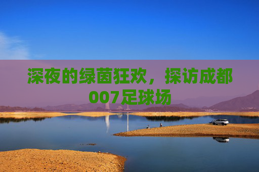 深夜的绿茵狂欢,探访成都007足球场