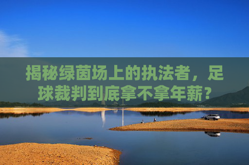揭秘绿茵场上的执法者,足球裁判到底拿不拿年薪?