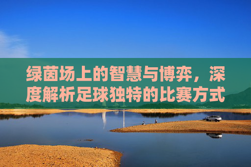 绿茵场上的智慧与博弈,深度解析足球独特的比赛方式