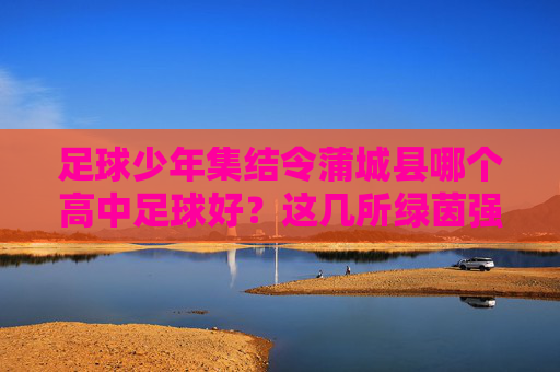 足球少年集结令蒲城县哪个高中足球好?这几所绿茵强校实力不容小觑!