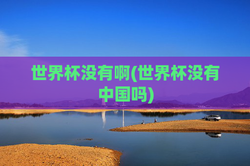 世界杯没有啊(世界杯没有中国吗)