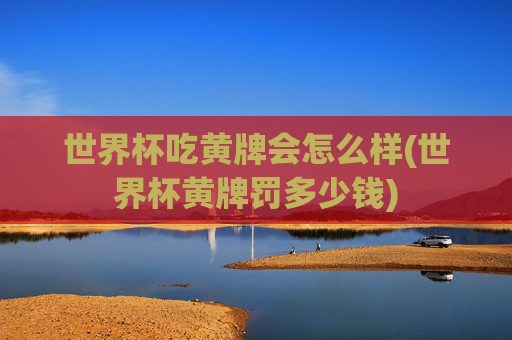 世界杯吃黄牌会怎么样(世界杯黄牌罚多少钱)