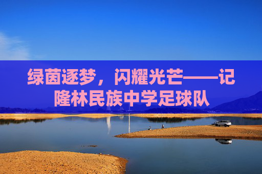 绿茵逐梦,闪耀光芒——记隆林民族中学足球队