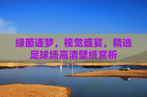 绿茵逐梦,视觉盛宴,精选足球场高清壁纸赏析