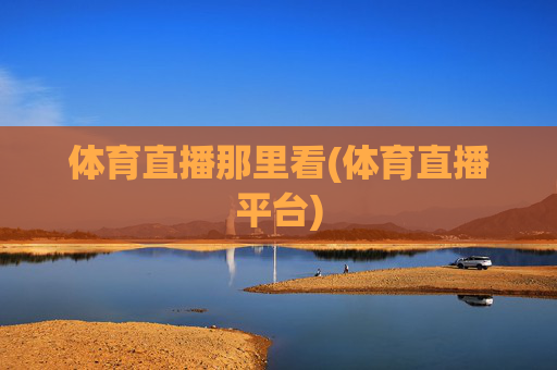 体育直播那里看(体育直播平台)