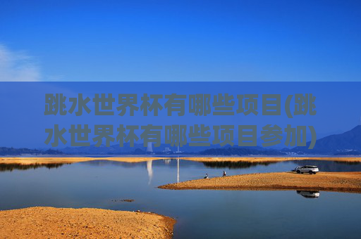 跳水世界杯有哪些项目(跳水世界杯有哪些项目参加)