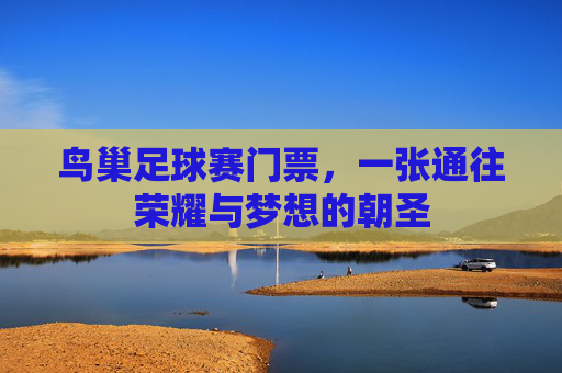 鸟巢足球赛门票,一张通往荣耀与梦想的朝圣