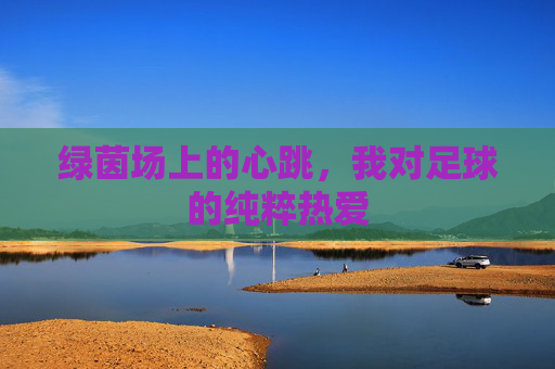 绿茵场上的心跳,我对足球的纯粹热爱