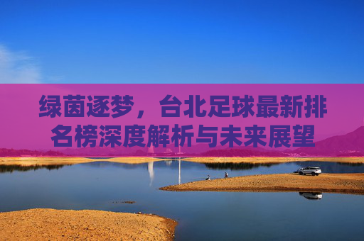 绿茵逐梦,台北足球最新排名榜深度解析与未来展望