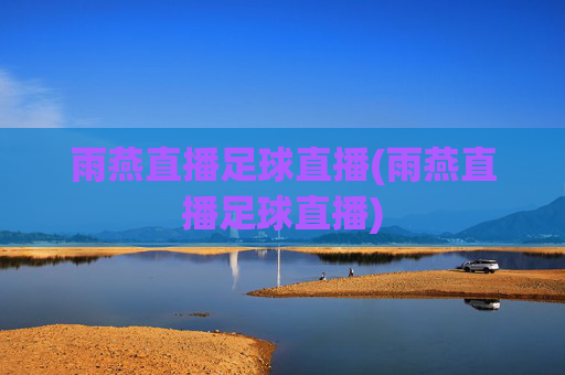 雨燕直播足球直播(雨燕直播足球直播)