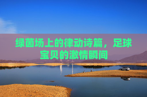 绿茵场上的律动诗篇,足球宝贝的激情瞬间