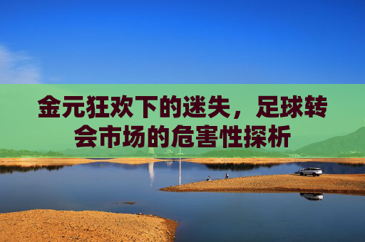 金元狂欢下的迷失,足球转会市场的危害性探析