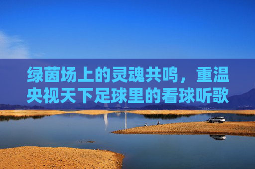 绿茵场上的灵魂共鸣,重温央视天下足球里的看球听歌时光
