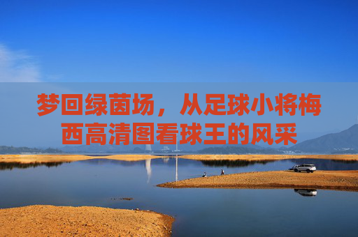 梦回绿茵场,从足球小将梅西高清图看球王的风采