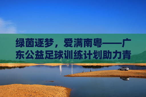 绿茵逐梦,爱满南粤——广东公益足球训练计划助力青少年成长