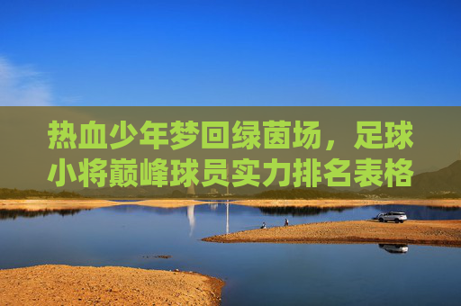 热血少年梦回绿茵场,足球小将巅峰球员实力排名表格深度解析