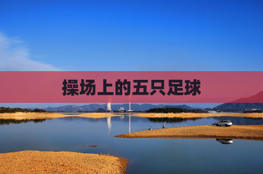 操场上的五只足球